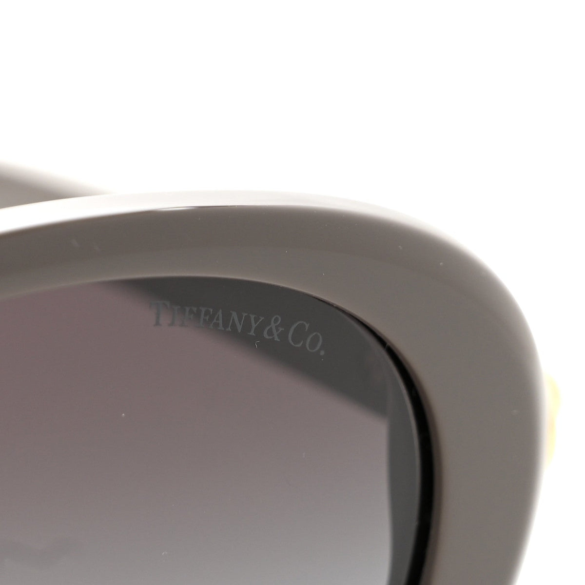 Acetate HardWear Oval Sunglasses TF4242D Milky Brown